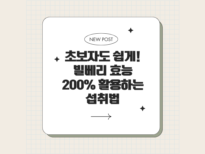 빌베리