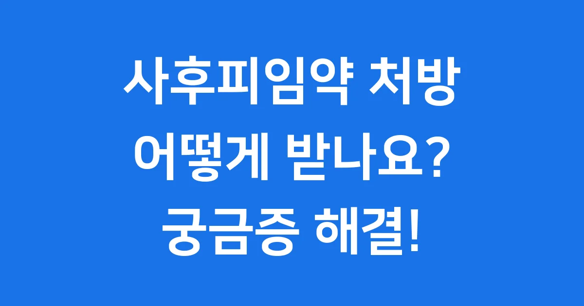 사후피임약 처방 방법 비용 종류 부작용