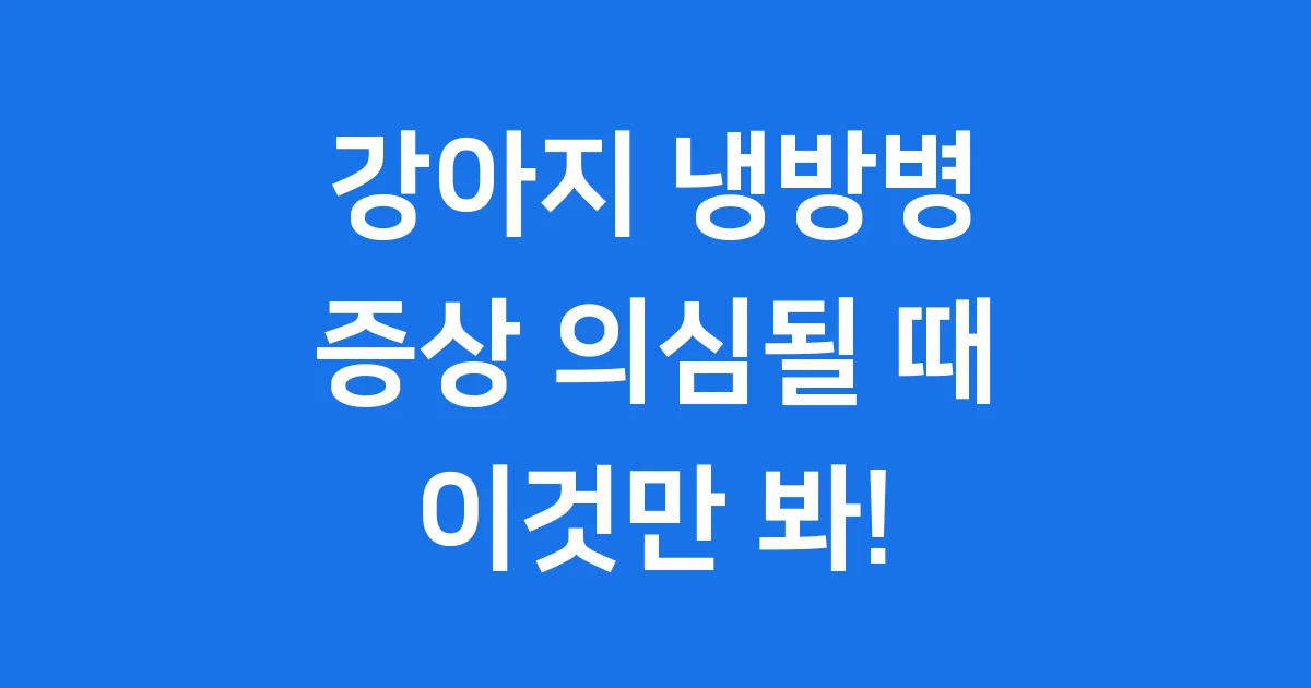 강아지 냉방병 증상 원인부터 예방 대처법까지