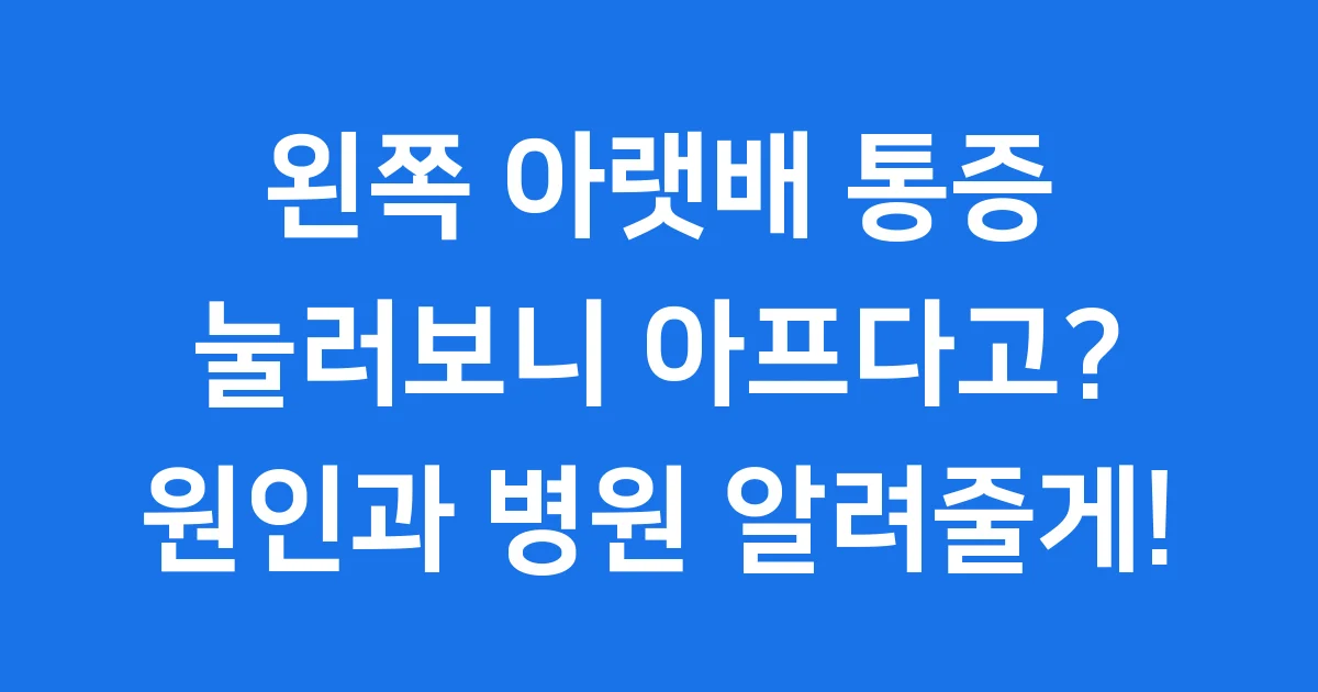 왼쪽 아랫배 통증 원인 진단 가이드