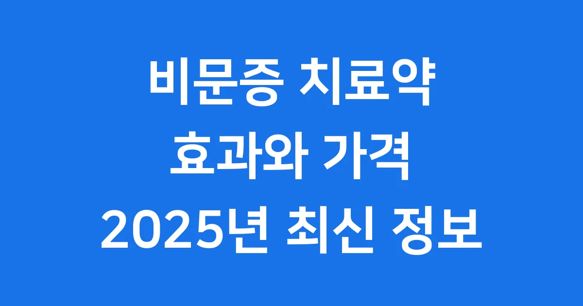 비문증 치료약 효과 가격 2025년 최신 정보