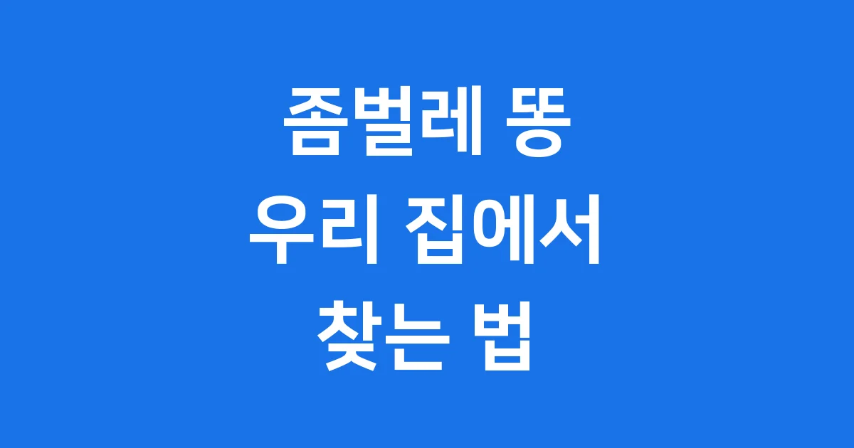좀벌레 똥 흔적 완벽 분석 퇴치 예방 방법