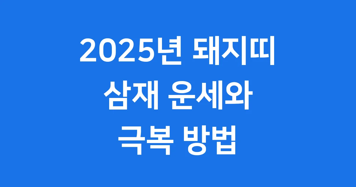 2025년 돼지띠 삼재 운세와 현명한 극복 방법