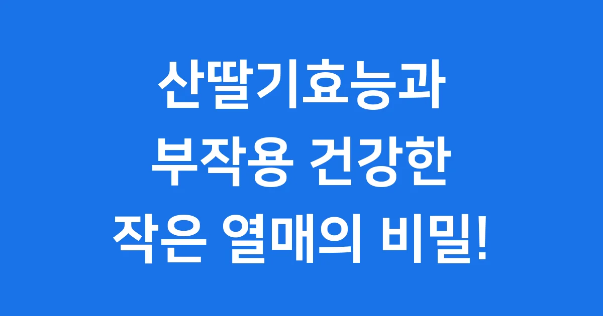 산딸기효능과 부작용: 건강한 작은 열매의 비밀!