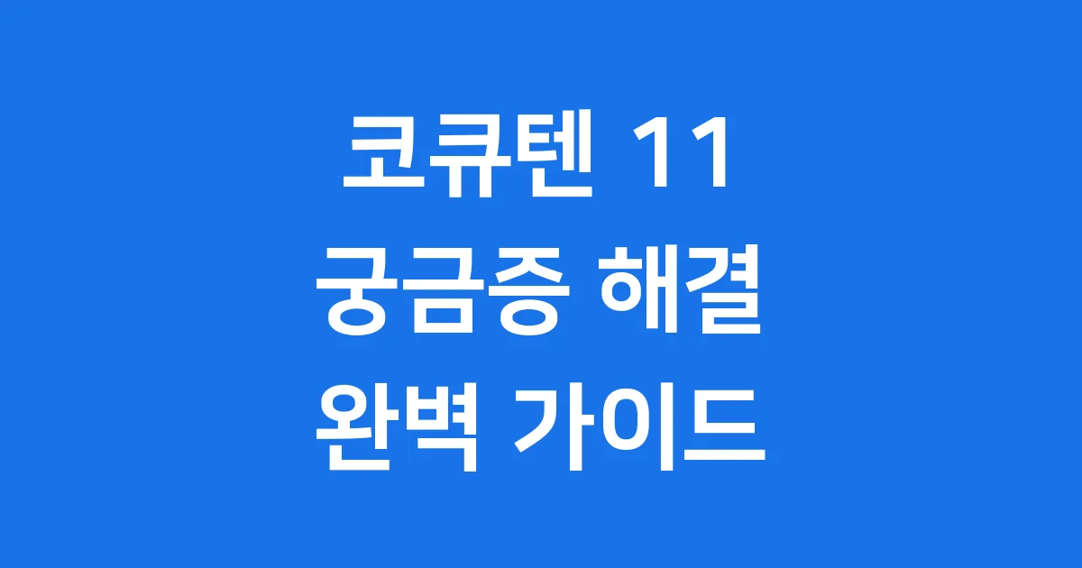 코큐텐 11 건강 이야기