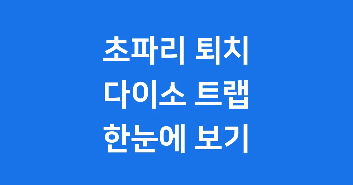 다이소 초파리트랩 가격 종류 사용법 한눈에!