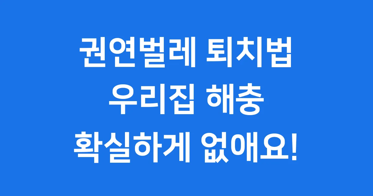권연벌레 퇴치법: 우리 집에서 벌레 없애는 확실한 방법! 🏡