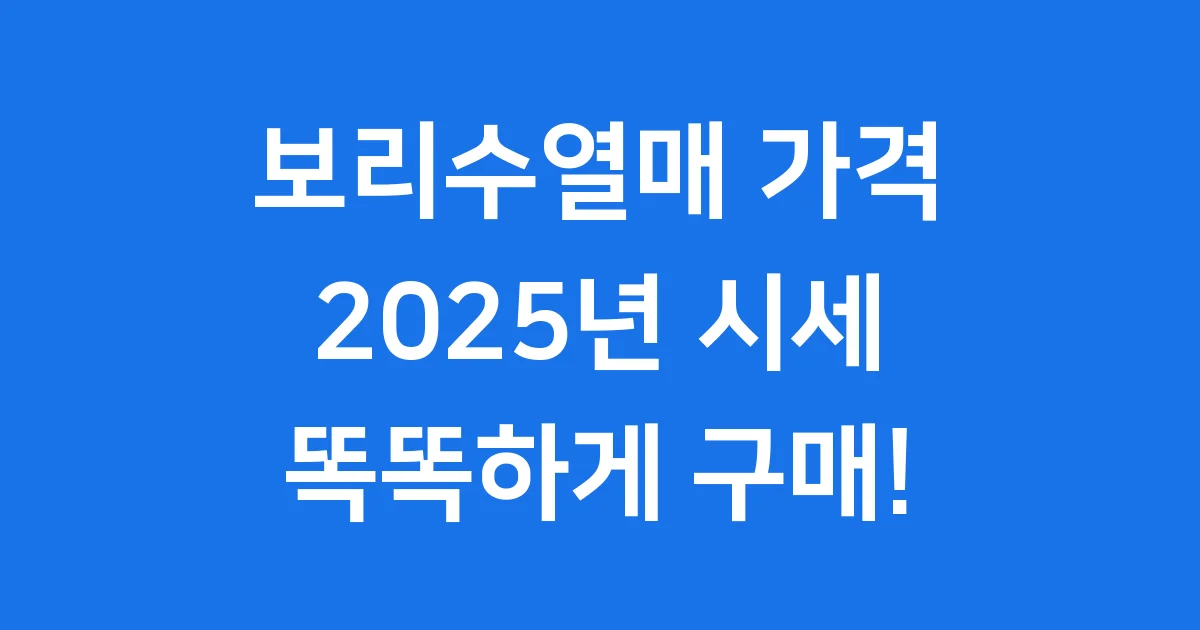 보리수열매 가격 2025년 시세 도매 소매 총정리