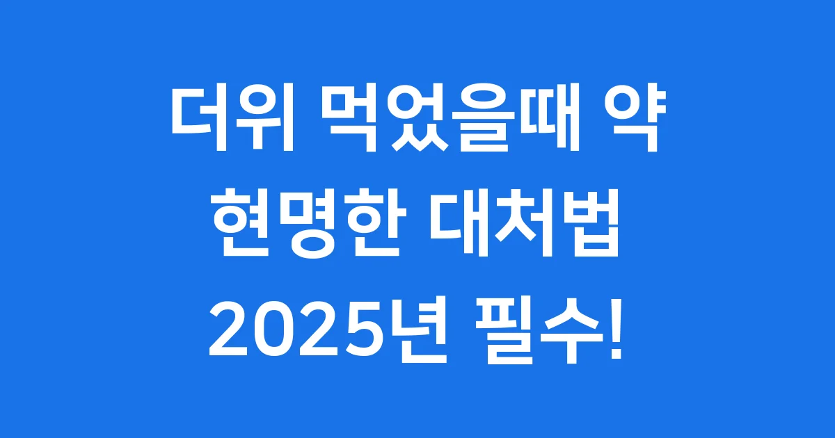 더위 먹었을때 약 현명한 대처법 2025년