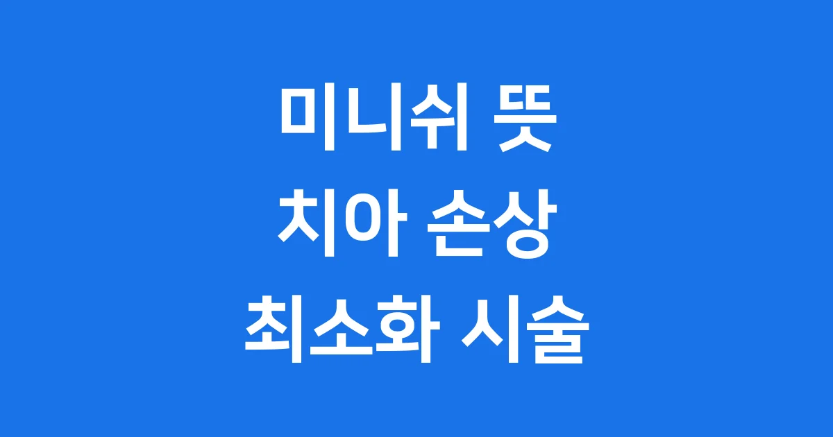 미니쉬 뜻 시술 과정 장점 알아봐요