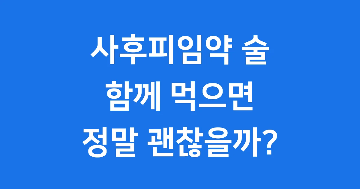 사후피임약 술
