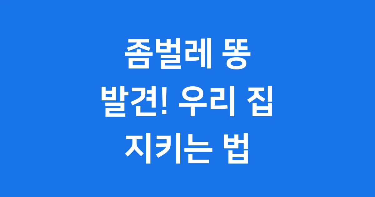 좀벌레 똥 발견! 우리 집 지키는 법