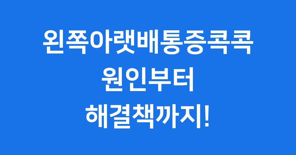 왼쪽아랫배통증콕콕 원인부터 해결책까지!