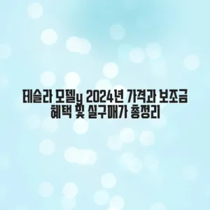 테슬라 모델y 2024년 가격과 보조금 혜택 및 실구매가 총정리