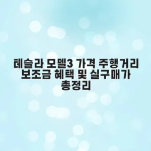 테슬라 모델3 가격 주행거리 보조금 혜택 및 실구매가 총정리