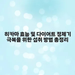 히카마 효능 및 다이어트 정체기 극복을 위한 섭취 방법 총정리