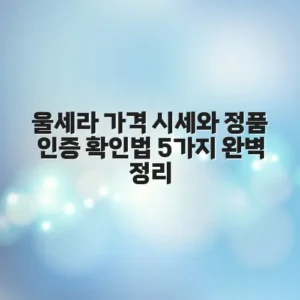 울세라 가격 시세와 정품 인증 확인법 5가지 완벽 정리