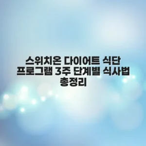 스위치온 다이어트 식단 프로그램 3주 단계별 식사법 총정리