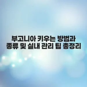 부고니아 키우는 방법과 종류 및 실내 관리 팁 총정리