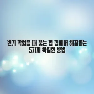변기 막혔을 때 뚫는 법 집에서 해결하는 5가지 확실한 방법
