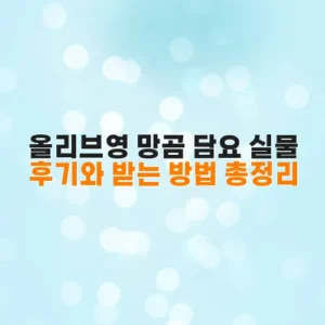 올리브영 망곰 담요 실물 후기와 받는 방법 총정리