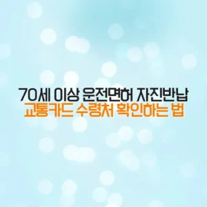 70세 이상 운전면허 자진반납 교통카드 수령처 확인하는 법