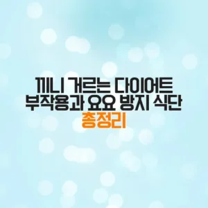 끼니 거르는 다이어트 부작용과 요요 방지 식단 총정리