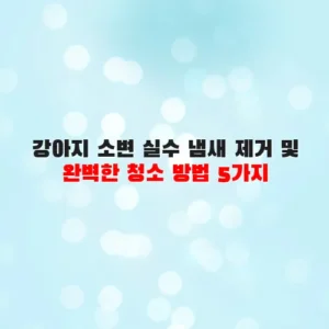 강아지 소변 실수 냄새 제거 및 완벽한 청소 방법 5가지