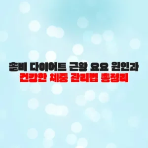 솔비 다이어트 근황 요요 원인과 건강한 체중 관리법 총정리