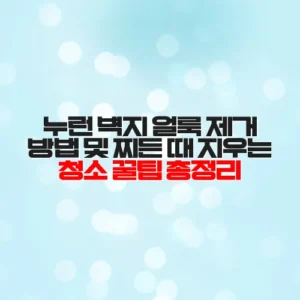 누런 벽지 얼룩 제거 방법 및 찌든 때 지우는 청소 꿀팁 총정리