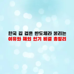 한국 김 검은 반도체라 불리는 이유와 해외 인기 비결 총정리