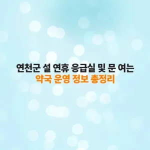 연천군 설 연휴 응급실 및 문 여는 약국 운영 정보 총정리