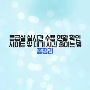 응급실 실시간 수용 현황 확인 사이트 및 대기 시간 줄이는 법 총정리