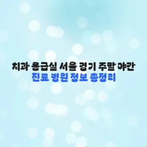 치과 응급실 서울 경기 주말 야간 진료 병원 정보 총정리