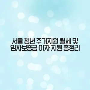 서울 청년 주거지원 월세 및 임차보증금 이자 지원 총정리