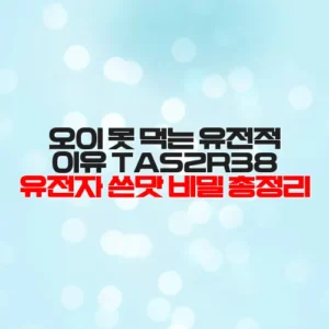 오이 못 먹는 유전적 이유 TAS2R38 유전자 쓴맛 비밀 총정리