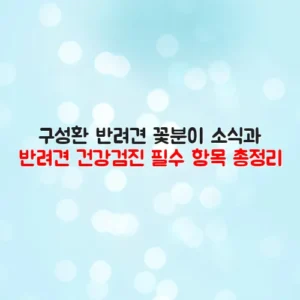 구성환 반려견 꽃분이 소식과 반려견 건강검진 필수 항목 총정리