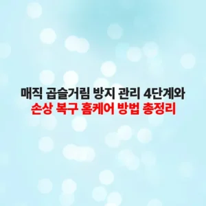 매직 곱슬거림 방지 관리 4단계와 손상 복구 홈케어 방법 총정리