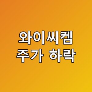 와이씨켐 주가 하락 차트 분석과 대응법 이런 포인트는 놓치면 안 됩니다