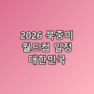 2026 북중미 월드컵 일정 대한민국 조편성 분석 16강 확률이 생각보다
