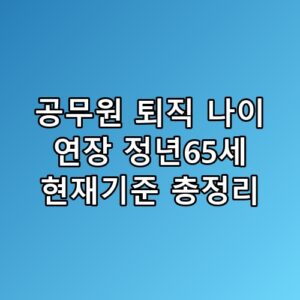 공무원 퇴직 나이 연장 정년65세 현재기준 총정리 이게 어떻게 된 일인지