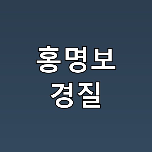홍명보 경질 이런 조건이 맞아야 현실화되더라고요