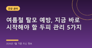 여름철 탈모 예방, 지금 바로 시작해야 할 두피 관리 5가지(2026년 7월 기준)
