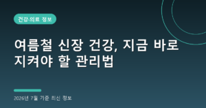 여름철 신장 건강, 지금 바로 지켜야 할 관리법(신부전·요로결석 예방, 2026년 7월 기준)