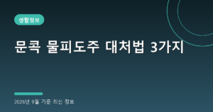 문콕 물피도주 대처법 3가지(주차장 문콕 신고, 2026년 9월 기준)